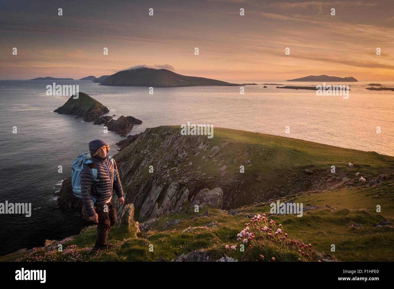Mitad hombre adulto, senderismo, Slea Head, en el condado de Kerry, Irlanda Foto de stock