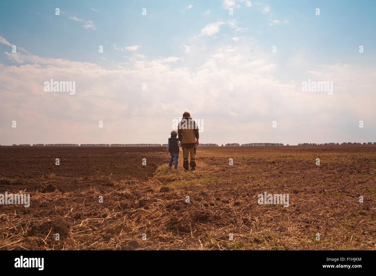 Padre e hijo juntos en el campo, vista trasera Foto de stock