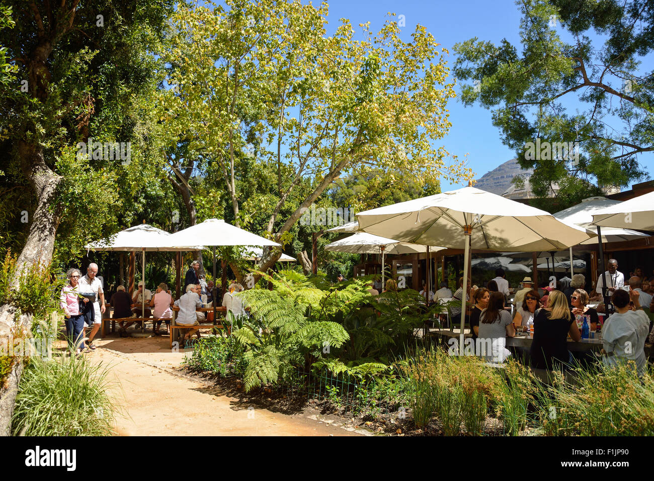 El restaurante en el jardín público, Ciudad del Cabo, en la provincia de Western Cape, Sudáfrica Foto de stock