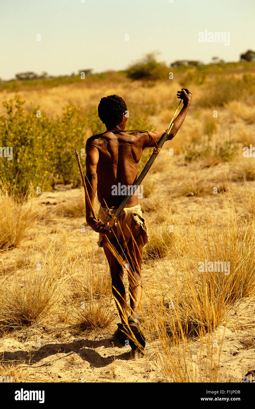Bushman caminando a través del desierto del Kalahari, Botswana, África Foto de stock