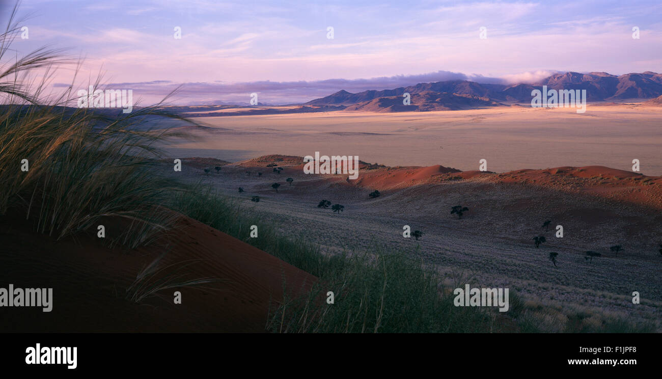Descripción paisaje al atardecer Naukluft Park, Namibia, África Foto de stock