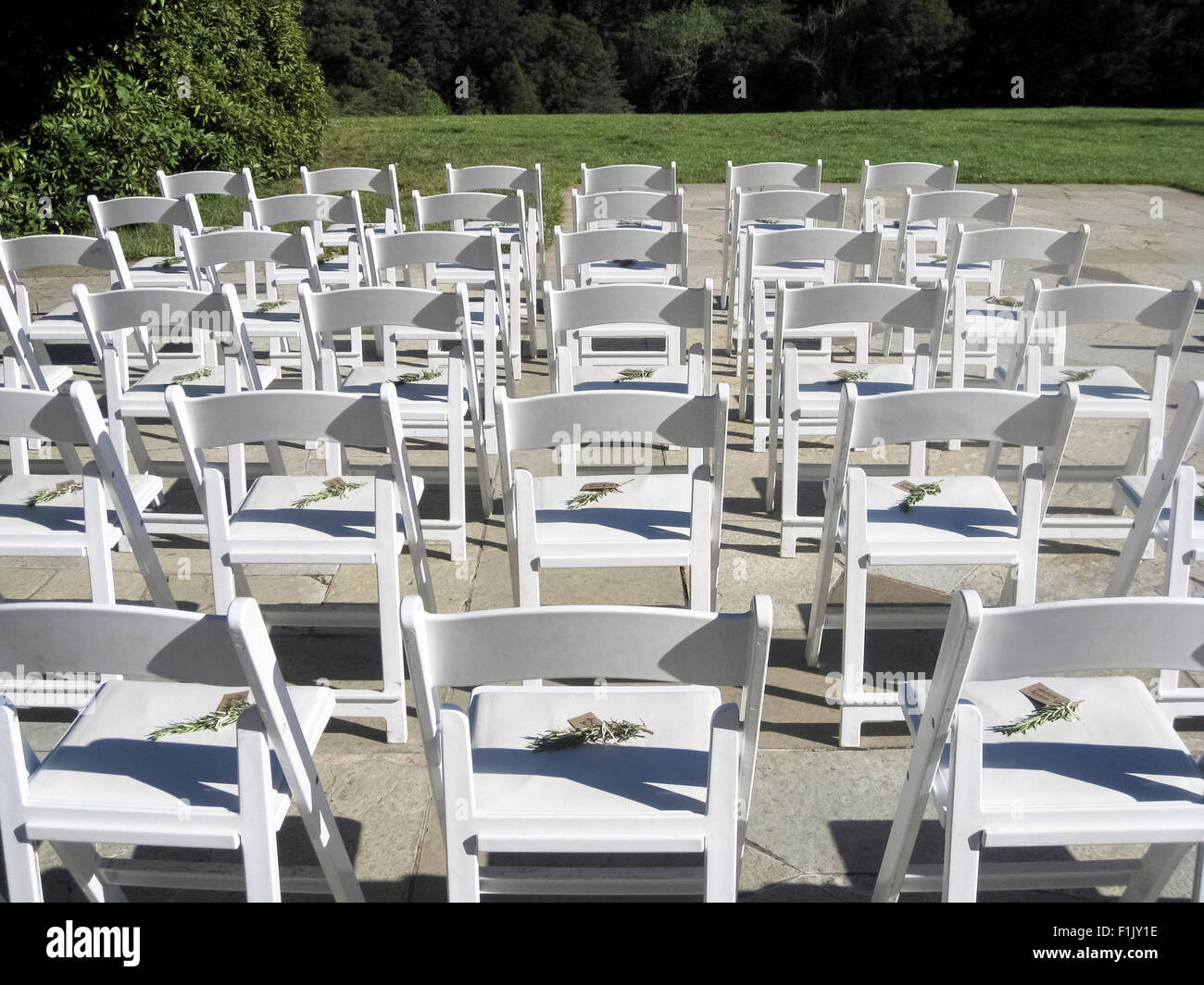 Sillas de madera blanca brillante están alineadas y esperan a los huéspedes en una ceremonia al aire libre en San Francisco, California, EEUU. Foto de stock