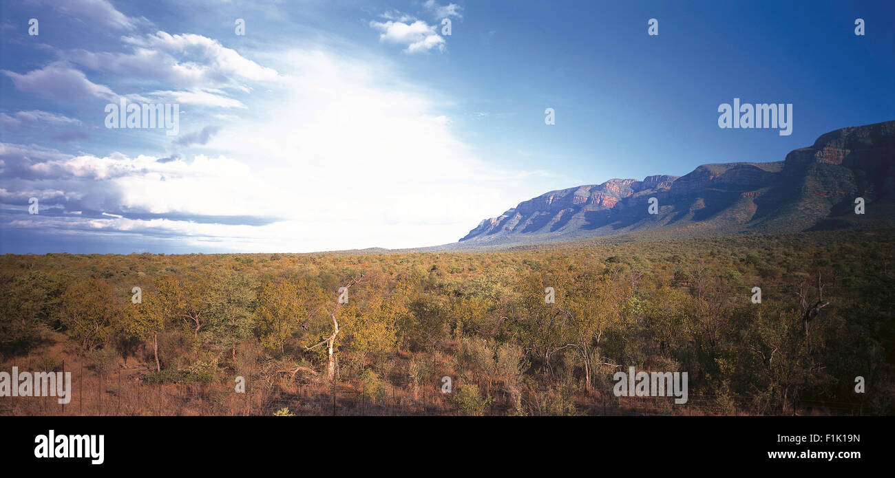 Pintoresco paisaje con montañas Drakensberg en segundo plano. En Mpumalanga, Sudáfrica, África. Foto de stock