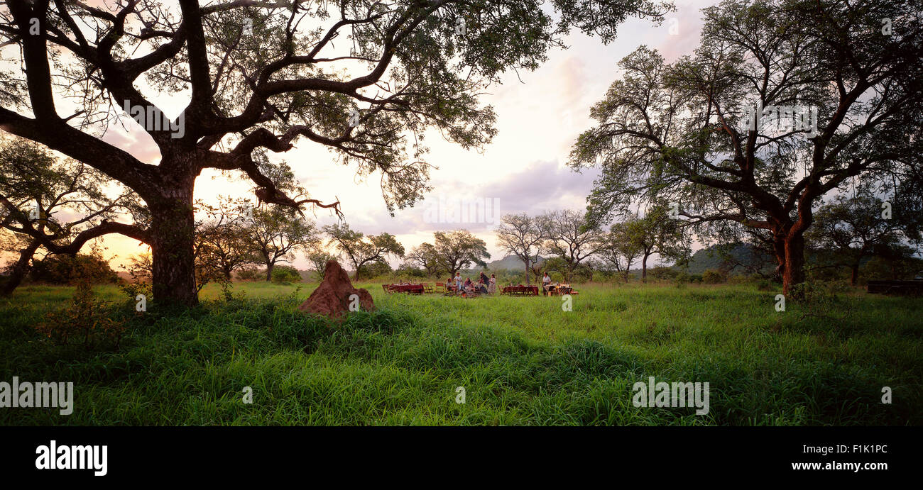 La gente en el campo con picnic sabana arbolada, Sudáfrica Foto de stock