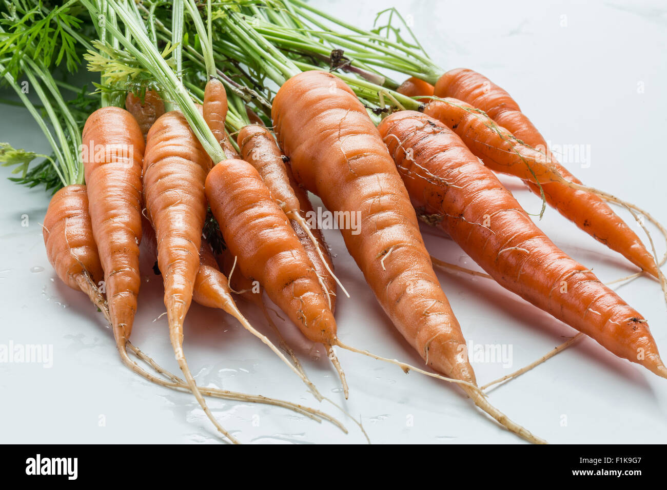 Las zanahorias con verdes sobre fondo blanco. Foto de stock