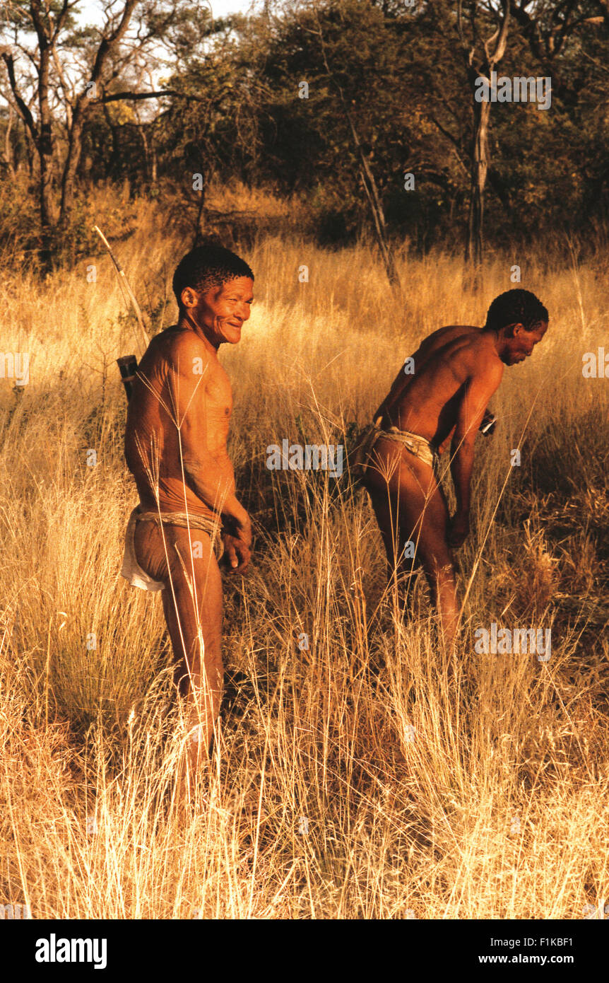 Bushman cazadores en los pastizales. Botswana, África Foto de stock
