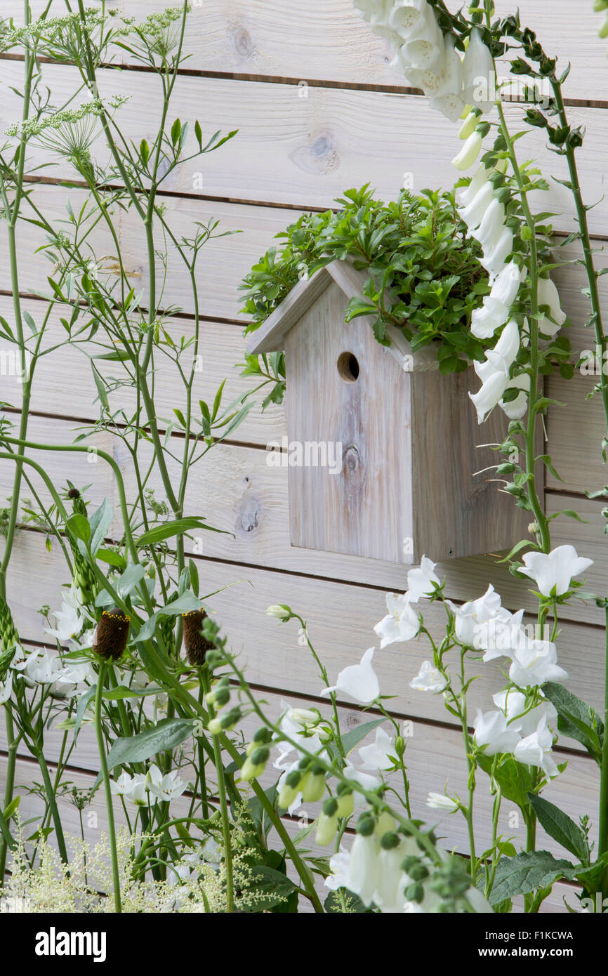 Los paisajes vivos, Ciudad Jardín Twitchers, diseñador CouCou Design, Sarah Keyser, RHS Hampton Court Flower Show 2015 Foto de stock