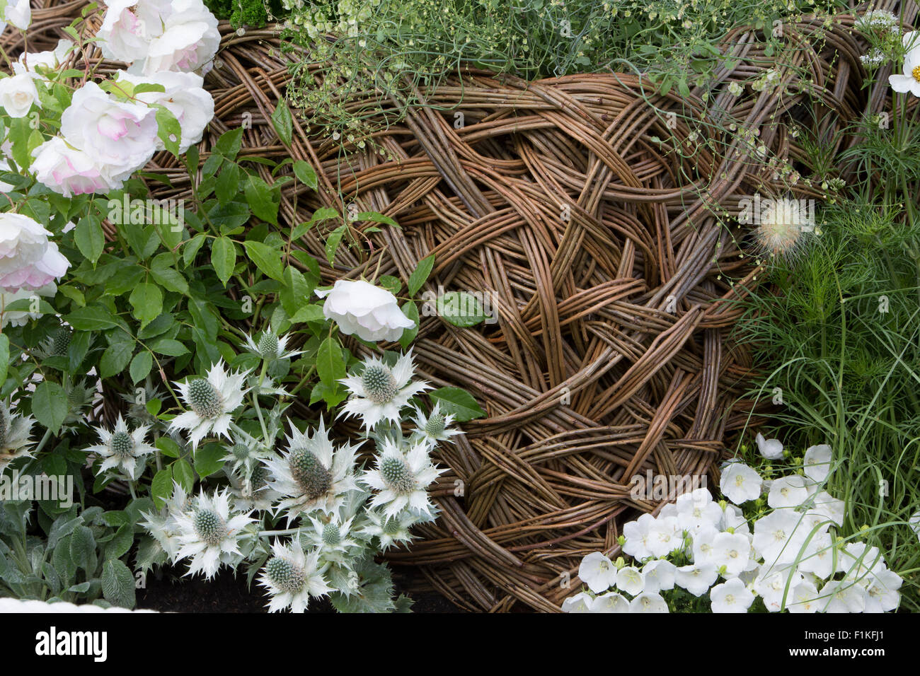 Los paisajes vivos, Ciudad Jardín Twitchers, diseñador CouCou Design, Sarah Keyser, RHS Hampton Court Flower Show 2015 Foto de stock