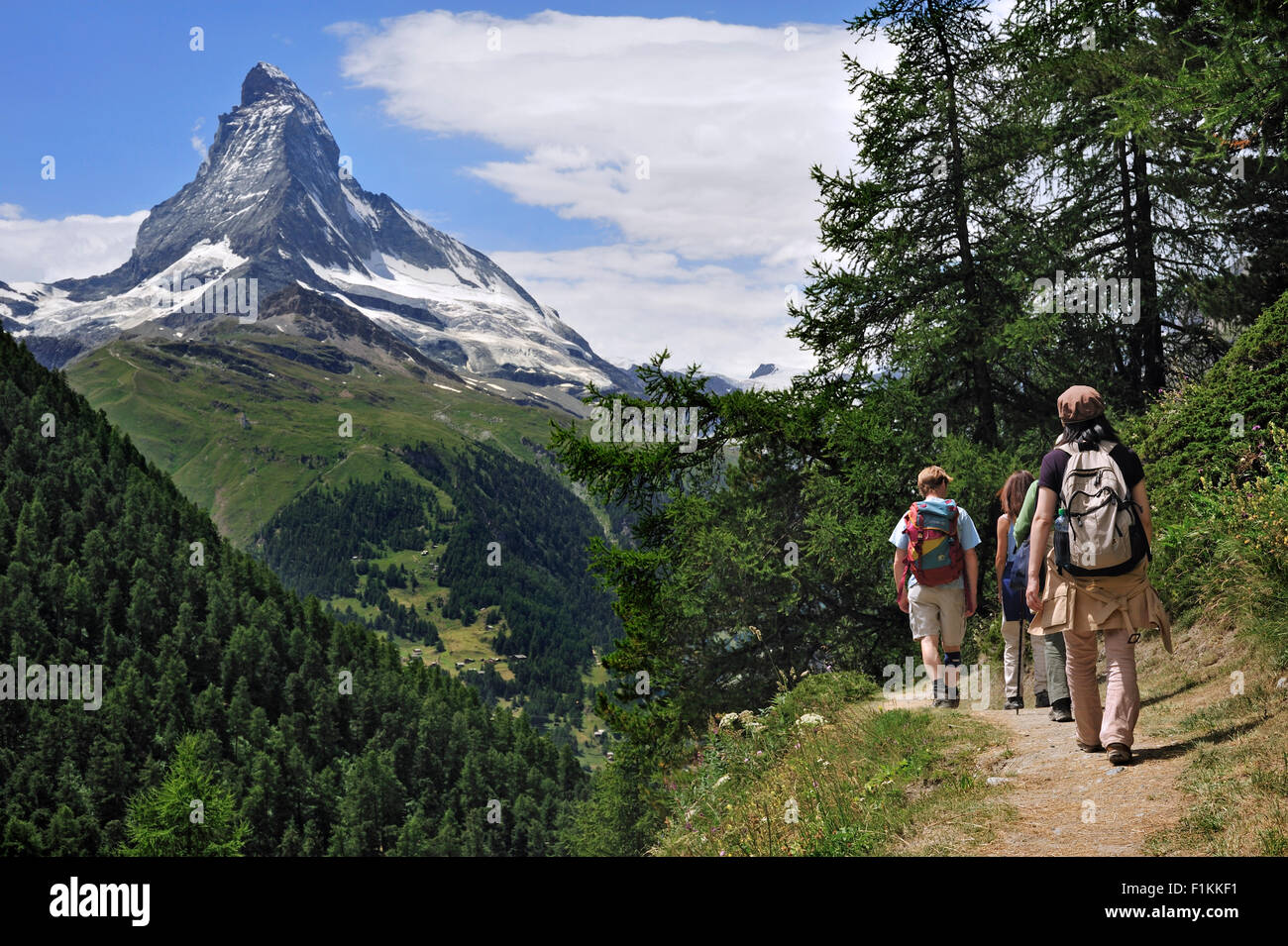 Excursionistas caminando a través del bosque de alerces con vistas a la montaña Matterhorn en los Alpes Suizos, Valais / Wallis, Suiza Foto de stock