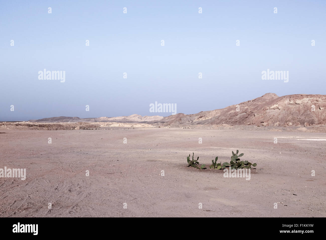Safaga, desierto, Hurghada, Mar Rojo, Egipto, África Foto de stock