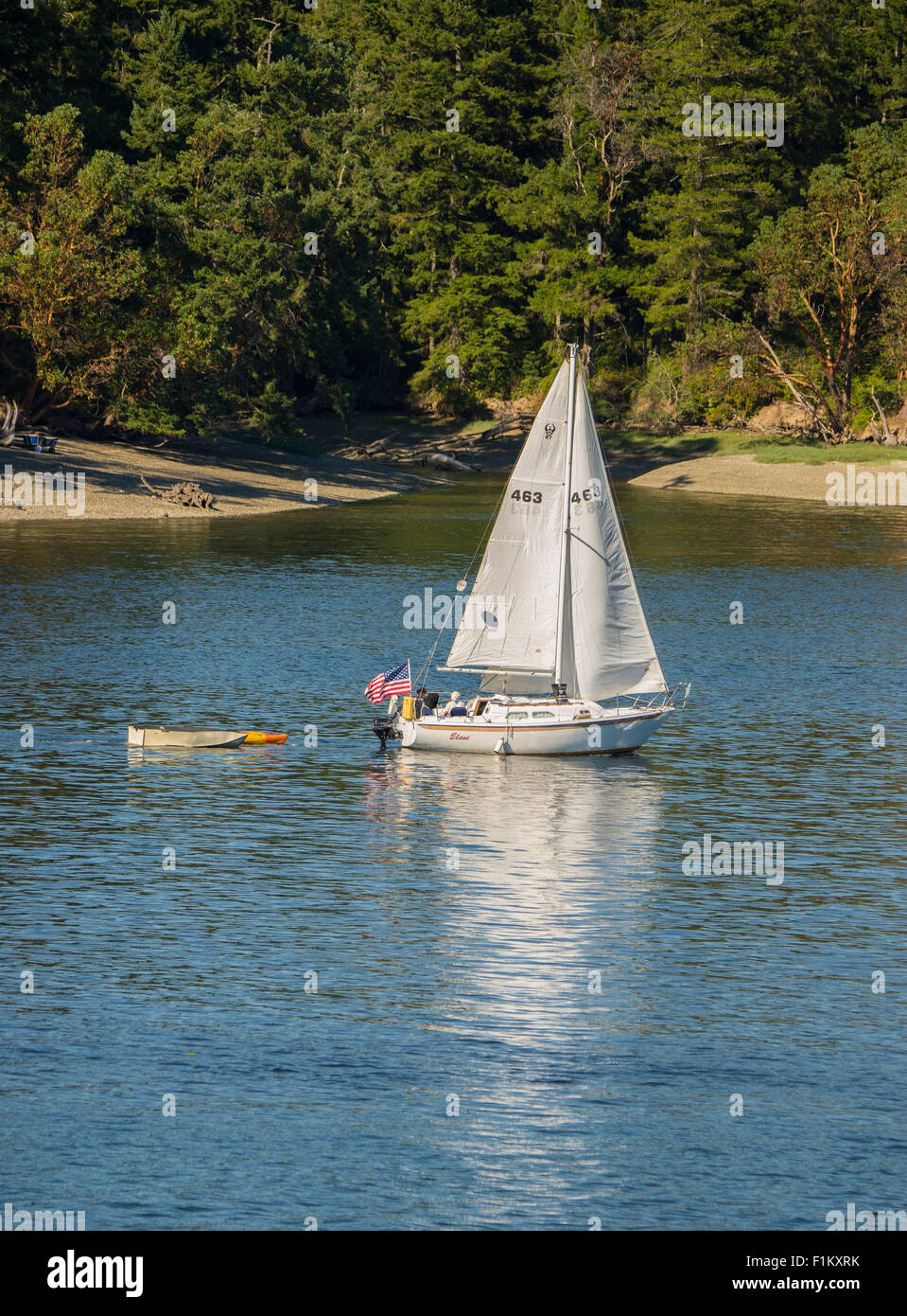 La gente navegando en veleros en Hope Island State Park, Marina Puget Sound, en el estado de Washington, EE.UU. Foto de stock