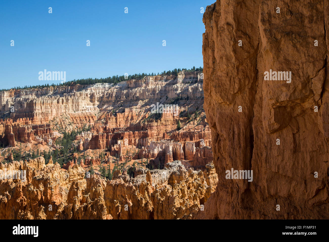 Vista de Bryce Canyon, Utah, EE.UU. Foto de stock