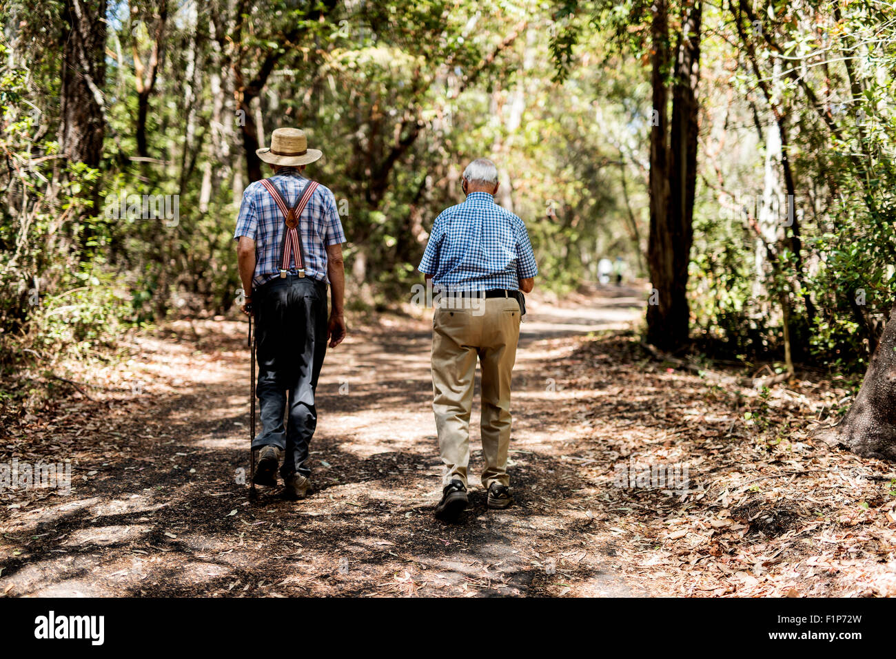 Dos ciudadanos de la tercera edad caminando en el bosque. Foto de stock