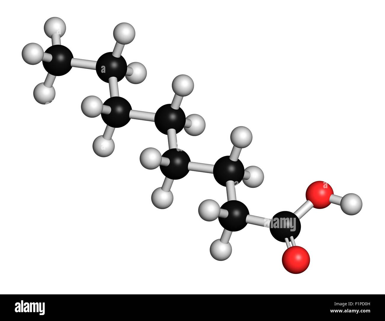 Ácido caprílico (octanoic) de ácidos grasos de cadena media utilizada como  agente antimicrobiano suplemento alimentario y químico intermedio átomos  Fotografía de stock - Alamy