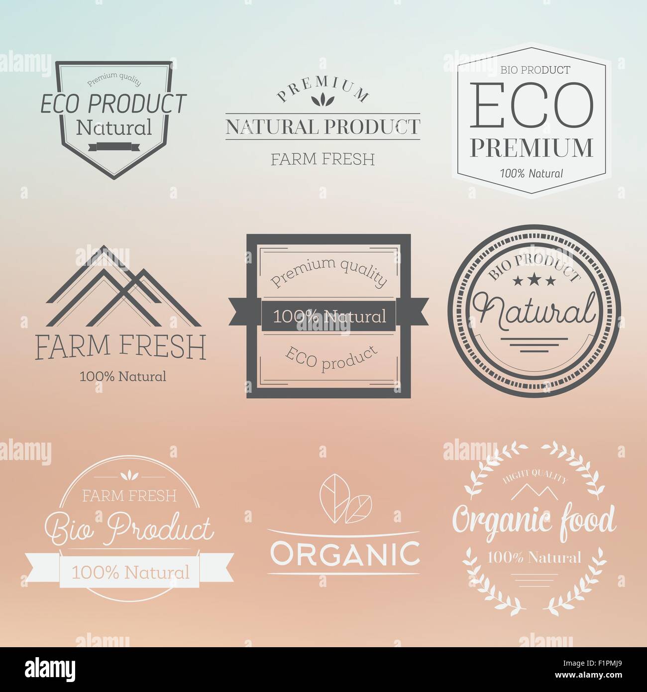 Conjunto de elementos de estilo vintage para etiquetas y distintivos para bebidas y alimentos orgánicos ilustración vectorial sobre fondo borroso Ilustración del Vector