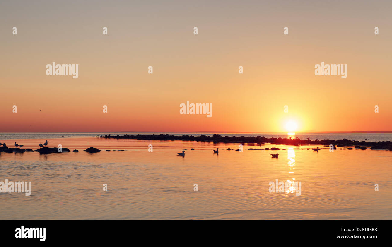 La playa del mar Báltico con gaviotas en Sunset Foto de stock