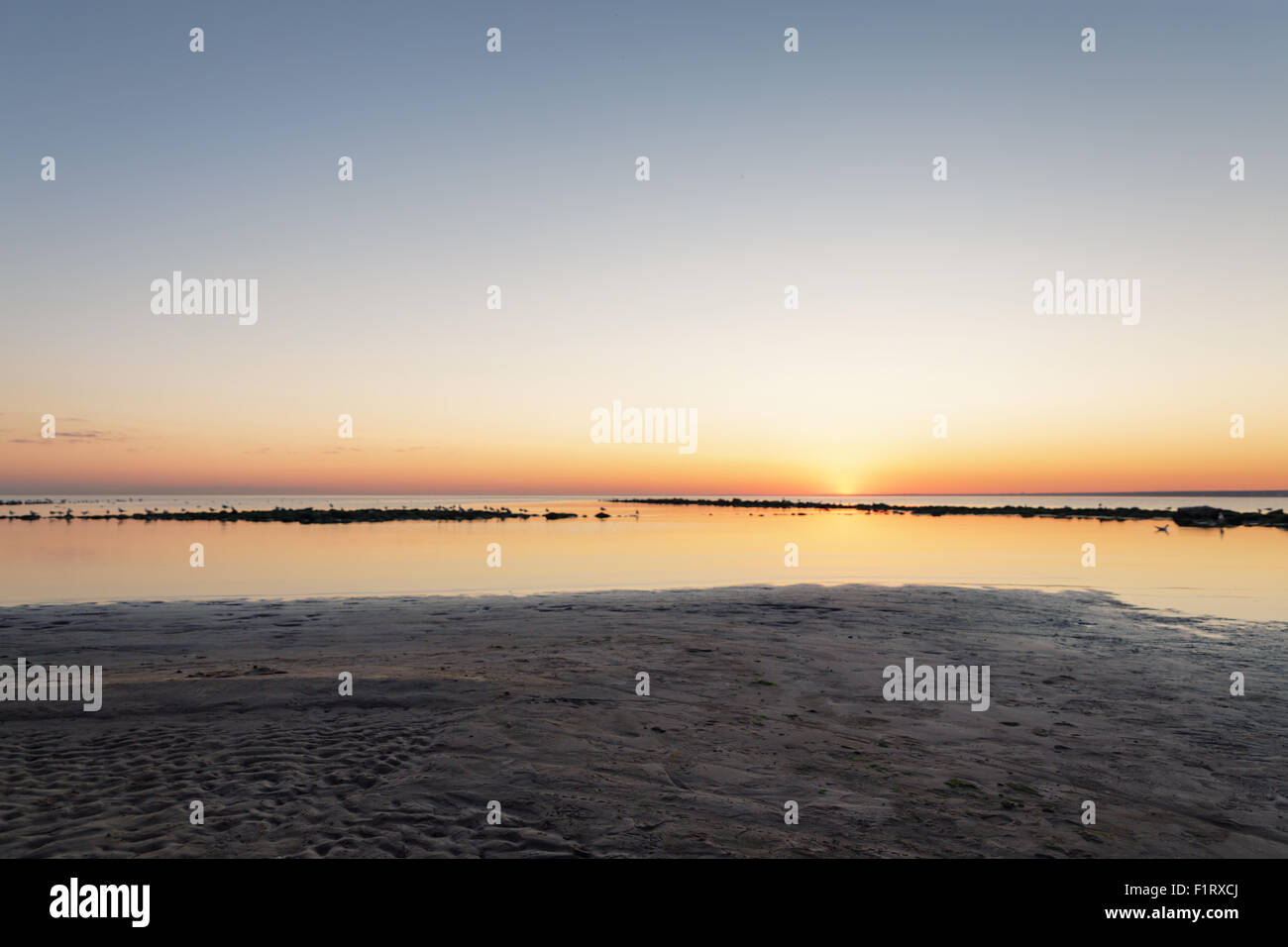 La playa del mar Báltico con gaviotas en Sunset Foto de stock