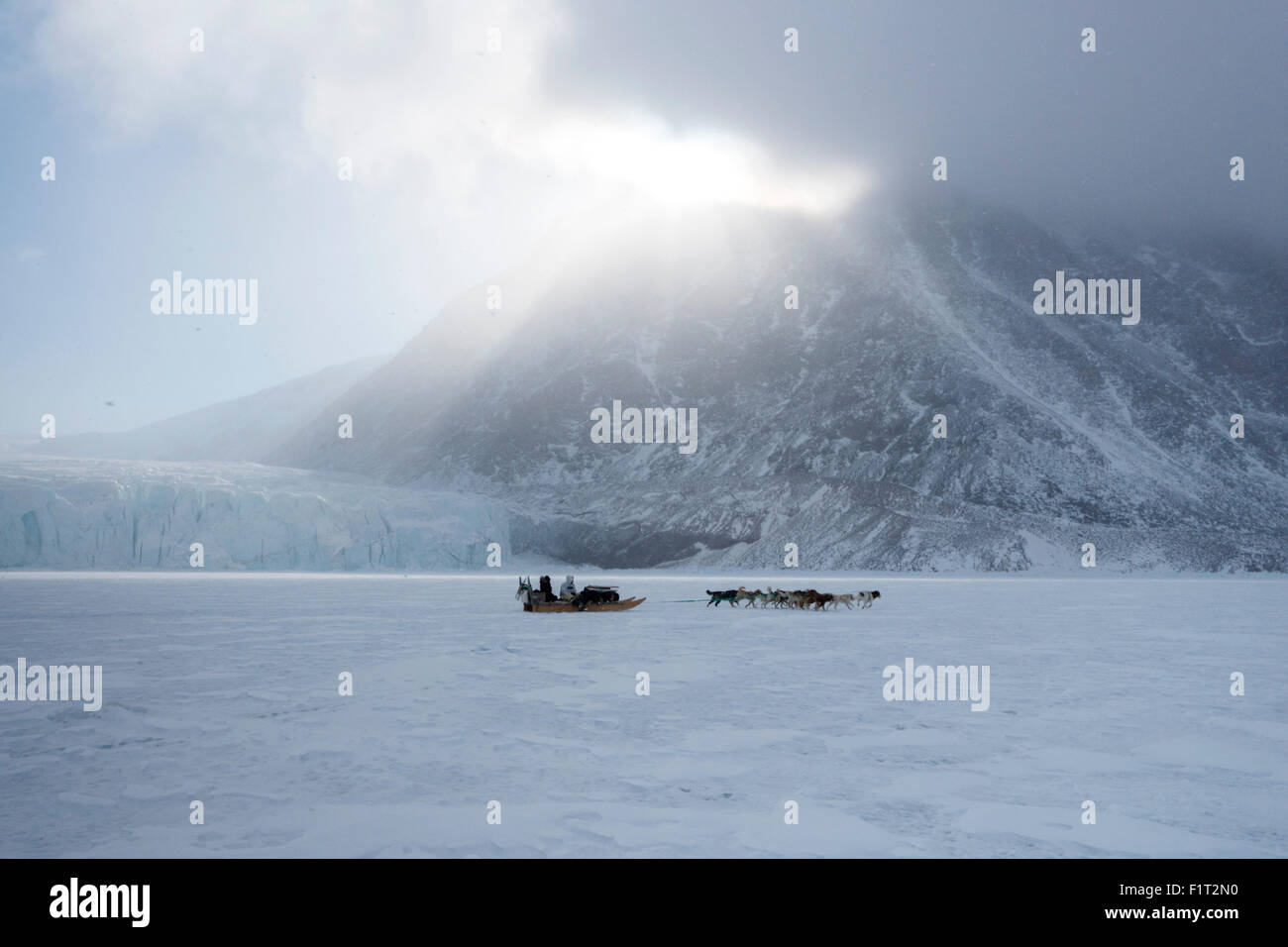 Cazador Inuit y su equipo de perros viajando en el mar de hielo, Groenlandia, Dinamarca, las regiones polares Foto de stock