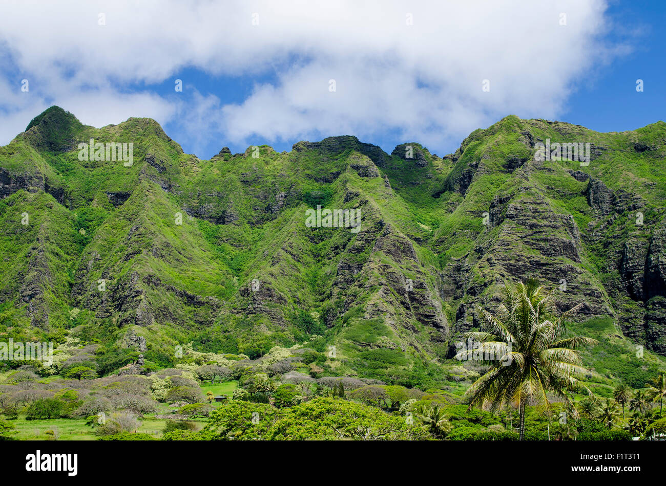 Hau'ula reserva de bosques, montañas Koolau Rage, Oahu, Hawaii, Estados Unidos de América, el Pacífico Foto de stock
