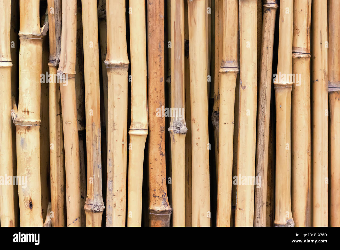 Similar a un fondo de bambú. Foto de stock
