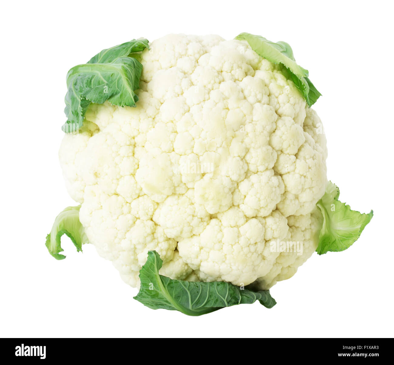 La coliflor con el fondo blanco. Foto de stock