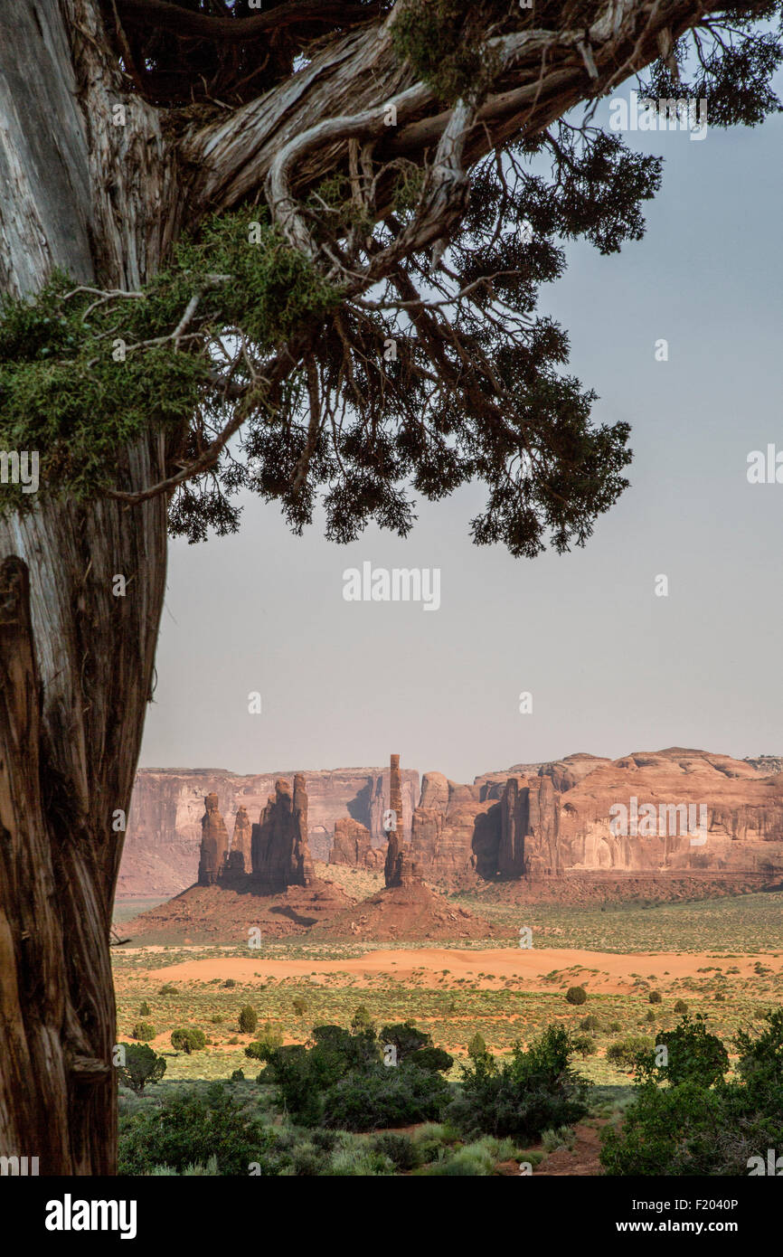 Monument Valley, Utah y Arizona, EE.UU. panorama Foto de stock
