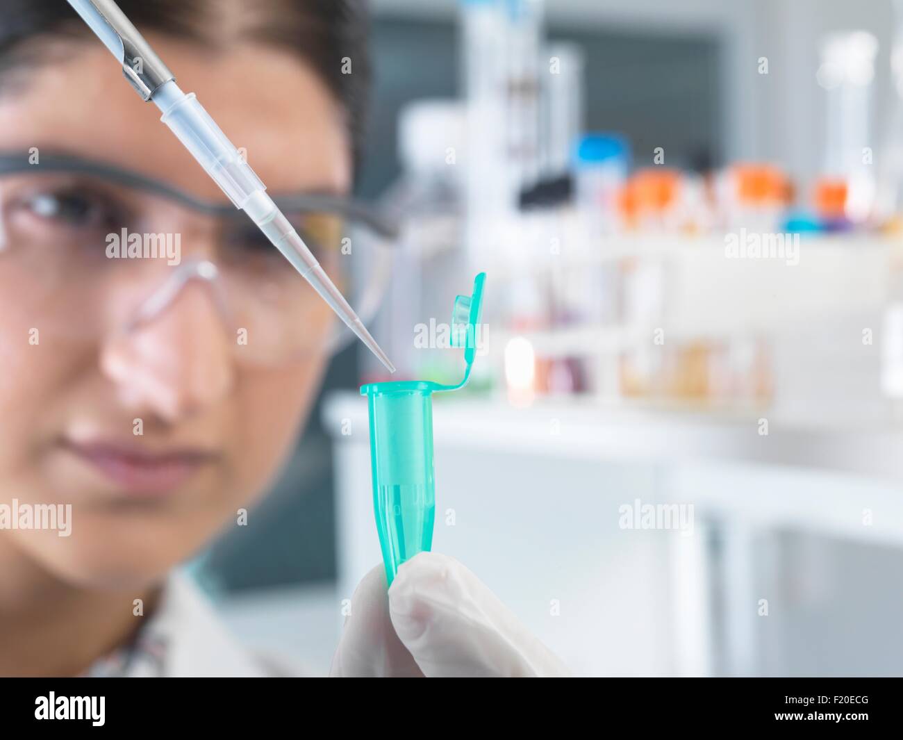 Investigadora pippetting muestra en tubo eppendorf para análisis en laboratorio Foto de stock
