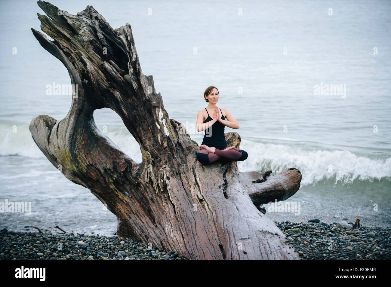 Mujer madura practicando yoga postura del loto sobre grandes driftwood