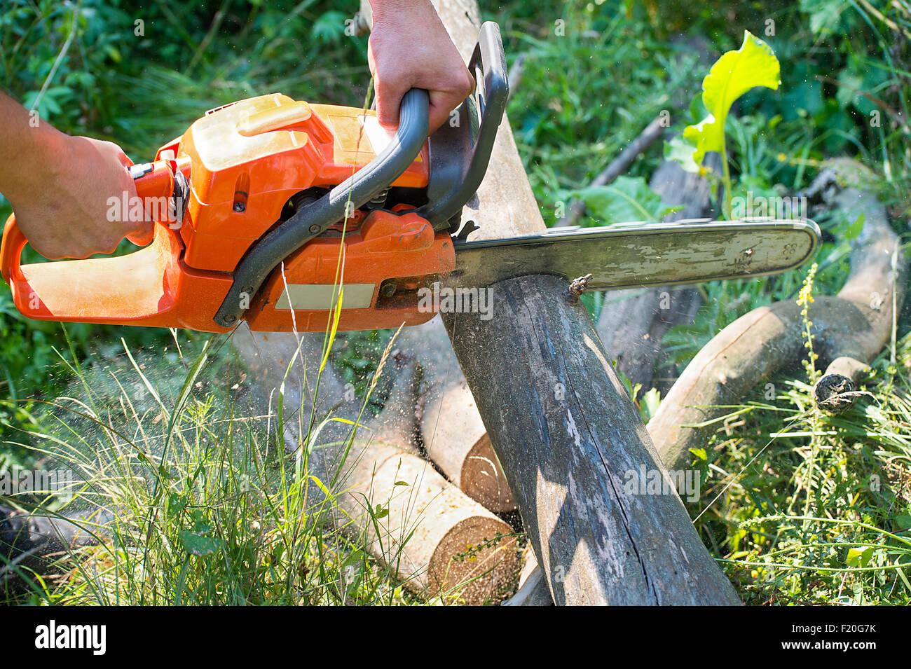 Cortar troncos de madera motosierras eléctricas en el bosque Fotografía de  stock - Alamy