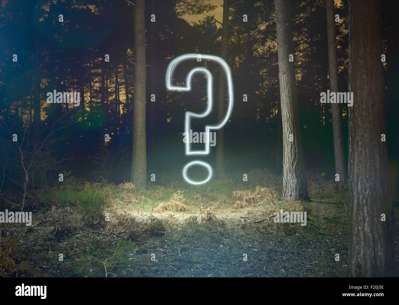 Símbolo de interrogación brillando en el bosque en la noche Foto de stock