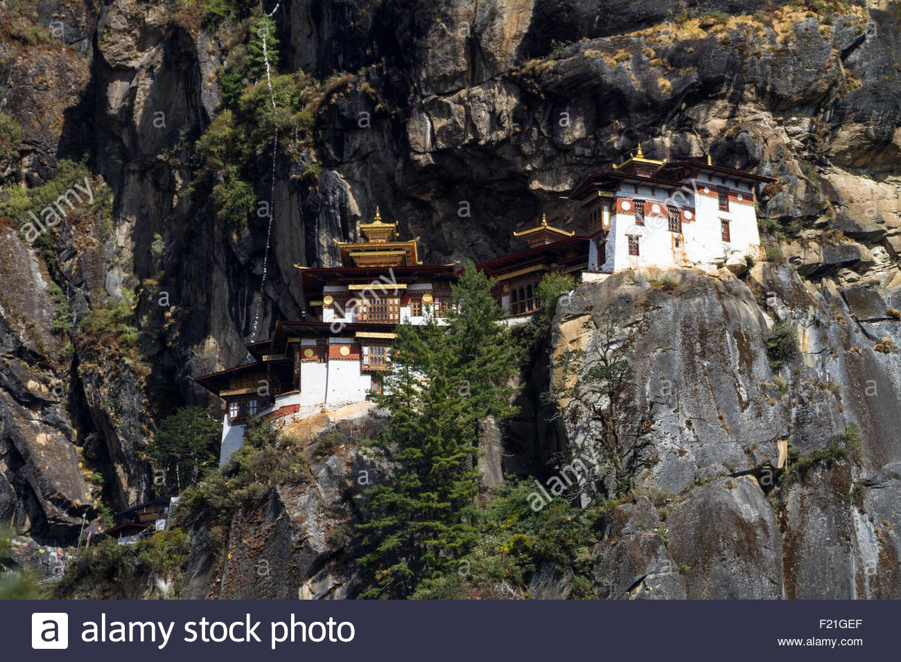 Vista del paro monasterio conocido como Tiger's Nest, o Monasterio Palphug Taktsang, en lo alto de los acantilados sobre el valle Foto de stock