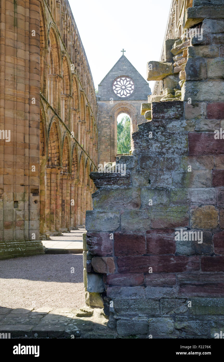 Historic Scotland's Jedburgh Abbey, Jedburgh, Scottish Borders, Escocia, Reino Unido. Foto de stock