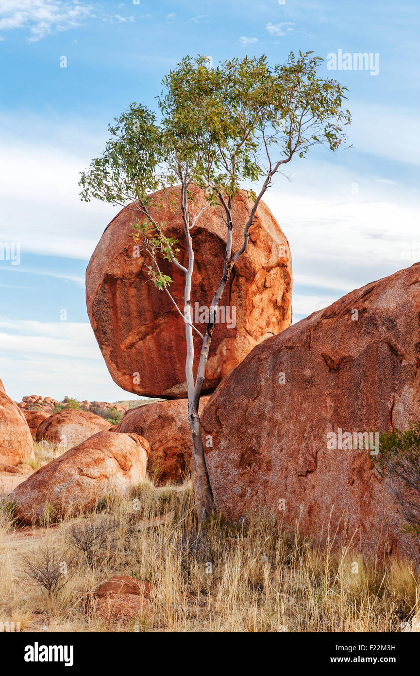O Diablos Karlu Karlu canicas - las rocas cerca de Tennant Creek son los huevos de la serpiente arco iris, los aborígenes dicen Foto de stock