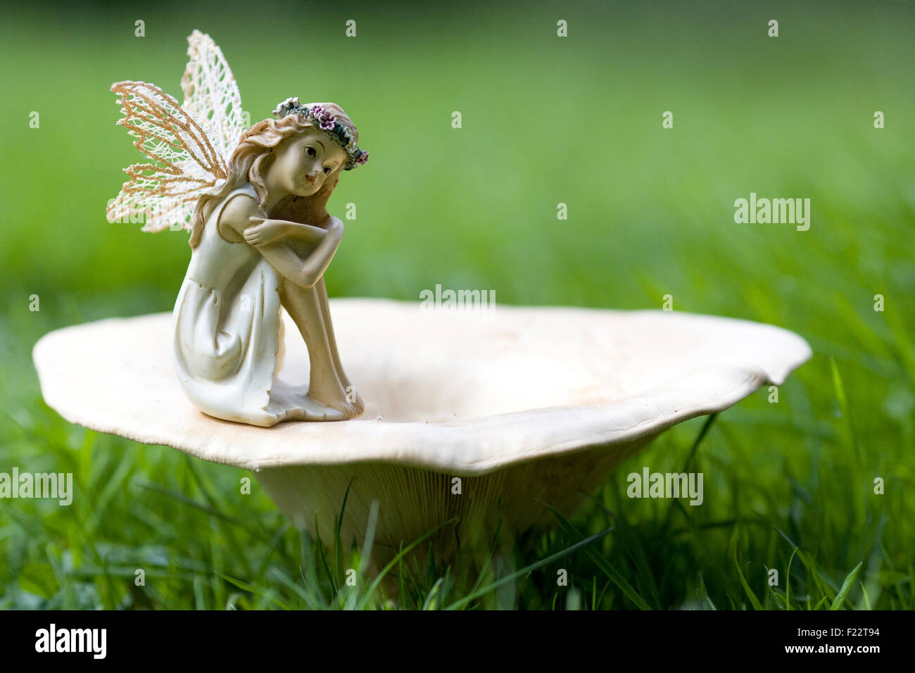 Hadas de flores fotografías e imágenes de alta resolución - Alamy Hadas de flores fotografías e imágenes de alta resolución - Alamy