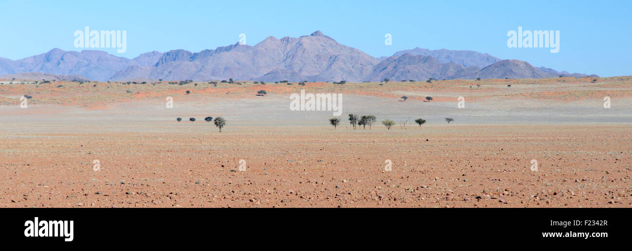 Paisaje de Namibia desde la ruta D826 Foto de stock