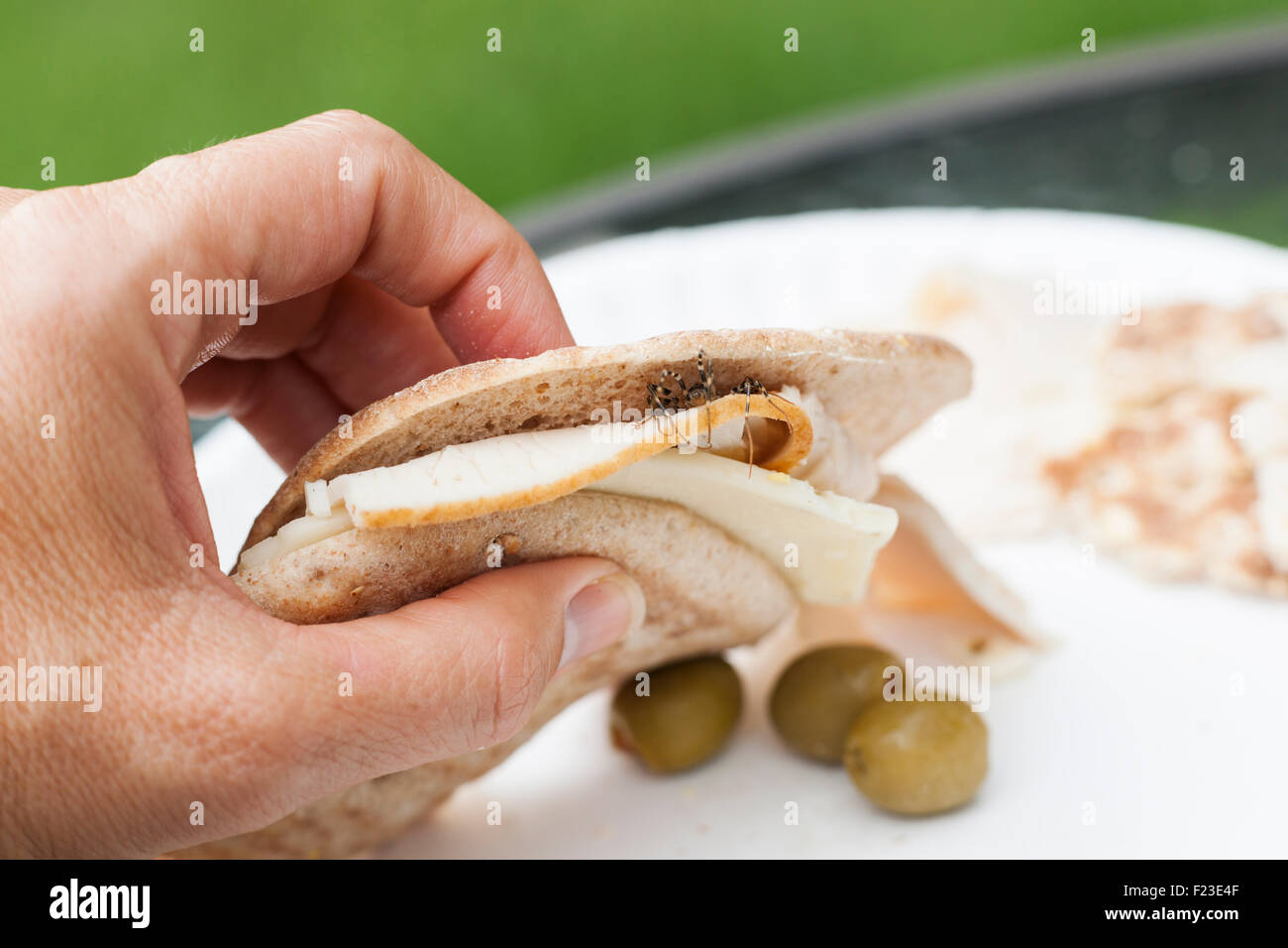 Sándwich de pavo con una casa de ciempiés que sobresalen del pan Foto de stock