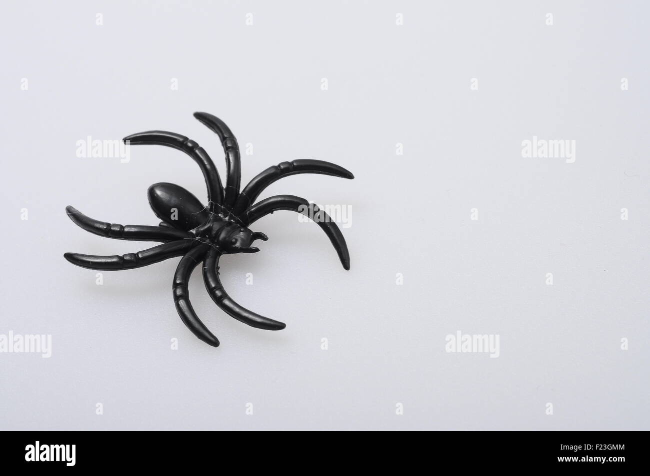 Cerca de Halloween araña negra sobre fondo claro Foto de stock