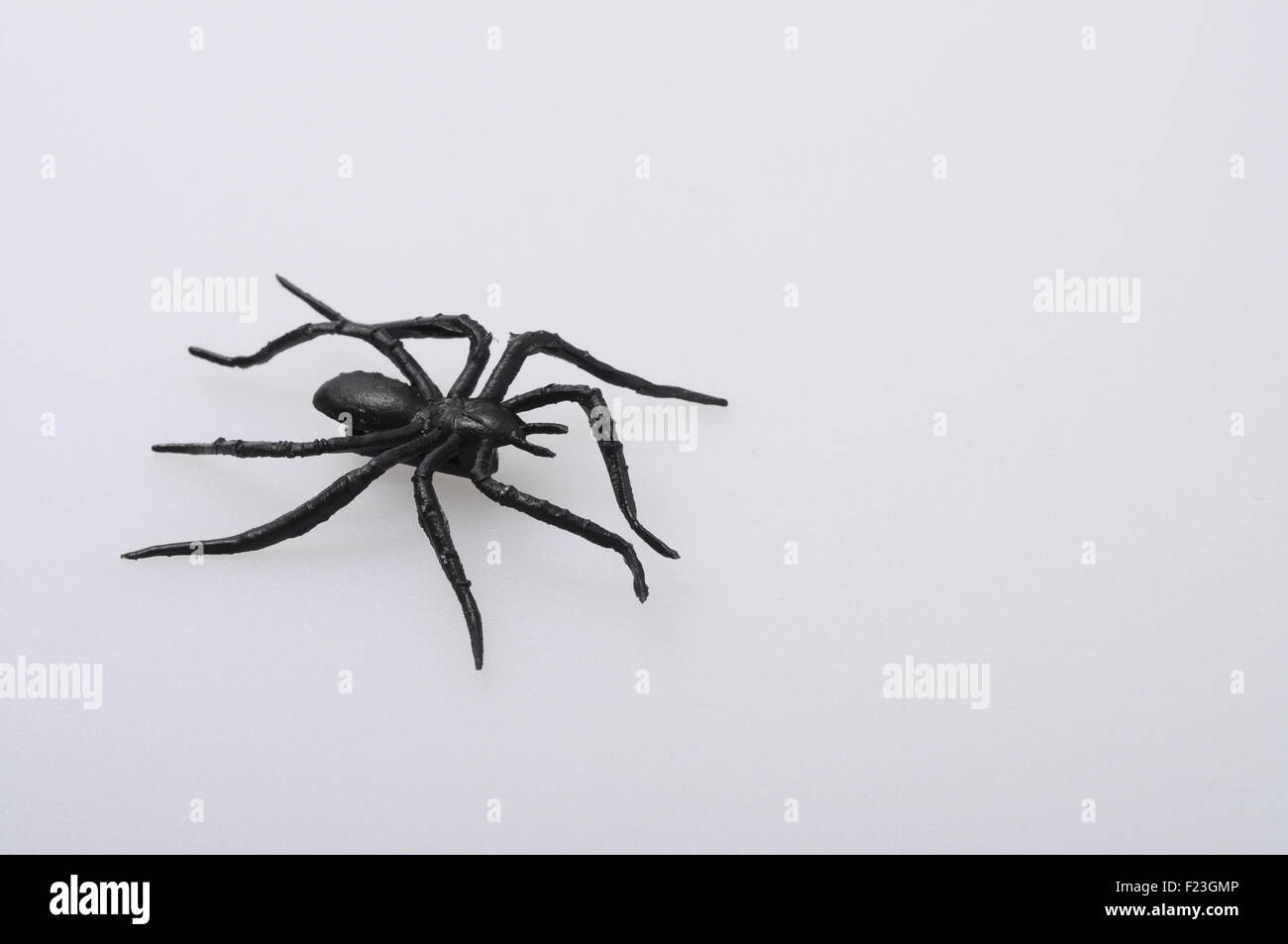 Cerca de Halloween araña negra sobre fondo claro Foto de stock
