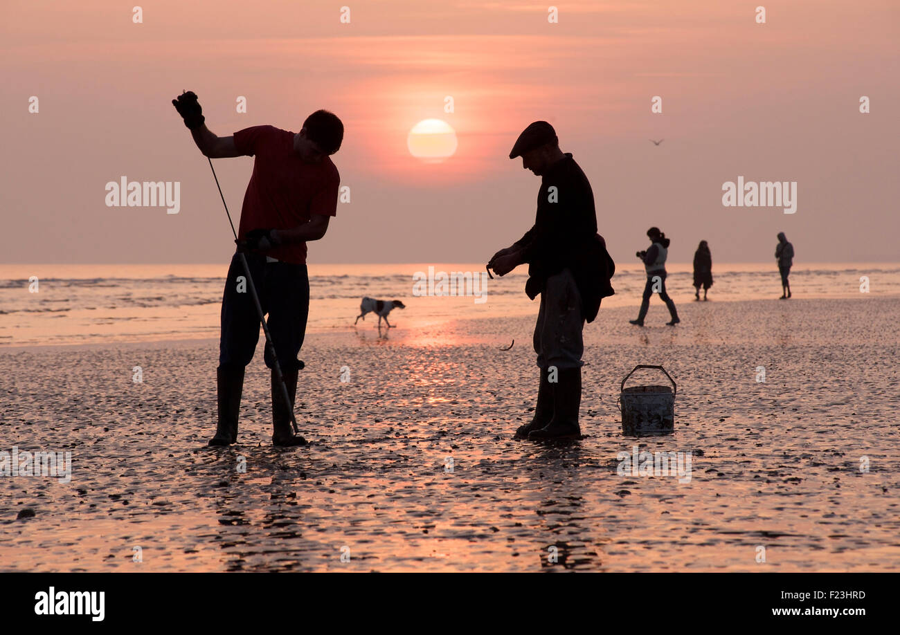 Los pescadores cavando para cebo gusanos. Brighton y Hove Beach en la marea baja. East Sussex, Inglaterra Foto de stock