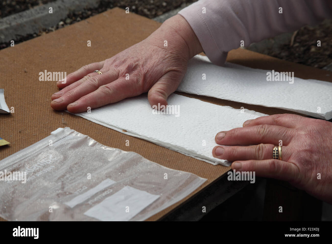 Semillas de toallas de papel fotografías e imágenes de alta resolución -  Alamy