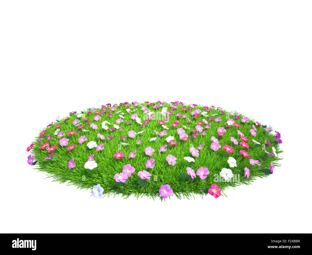 Pieza de hierba verde fresca con flores de tierra aislado sobre fondo blanco. Foto de stock