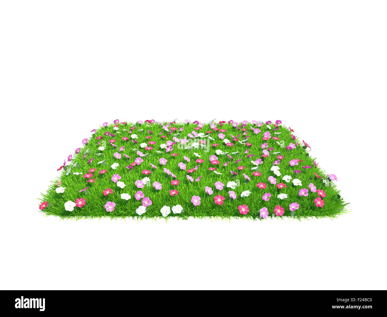 Pieza de hierba verde fresca con flores de tierra aislado sobre fondo blanco. Foto de stock