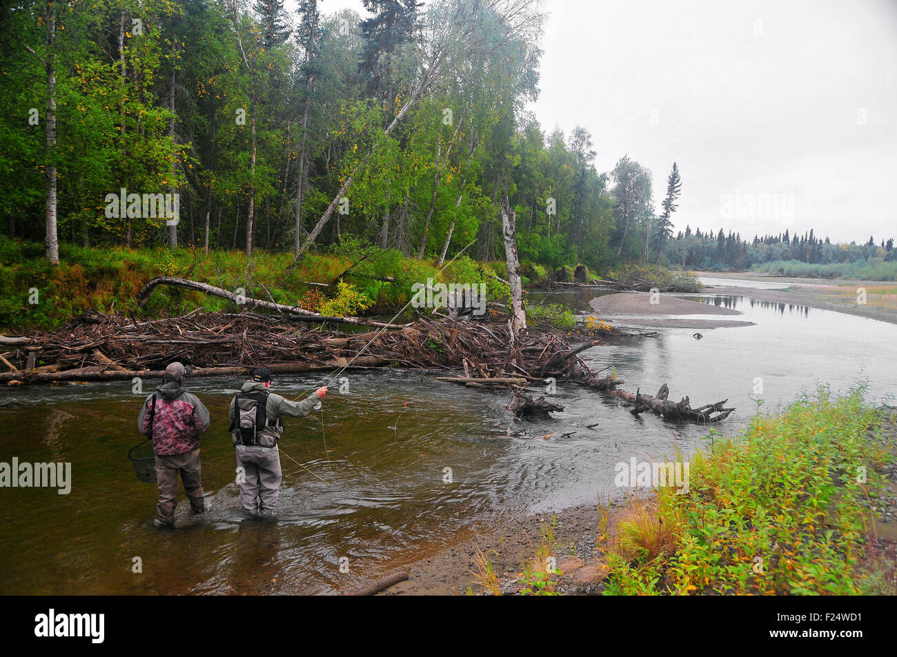 Alaska's Río Aniak y sus trenzas ofrecen grandes de plata para la pesca