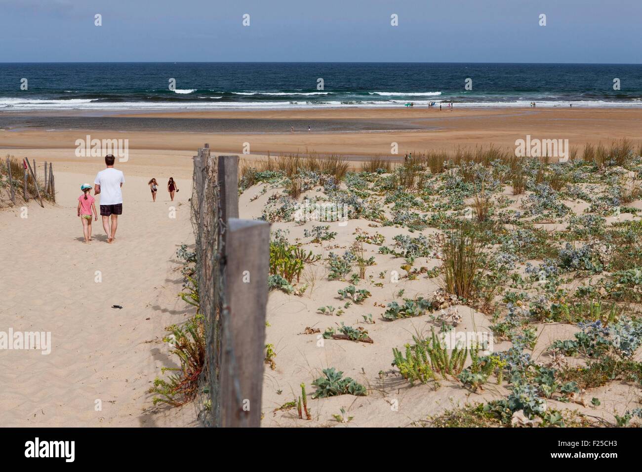 En Francia, Las Landas Moliets et Maa, la playa Foto de stock