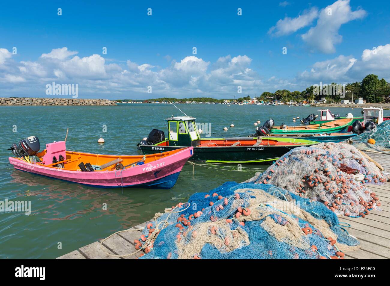 Francia, Guadalupe (Antillas Francesas), Basse Terre Sainte Rose, el puerto  Fotografía de stock - Alamy