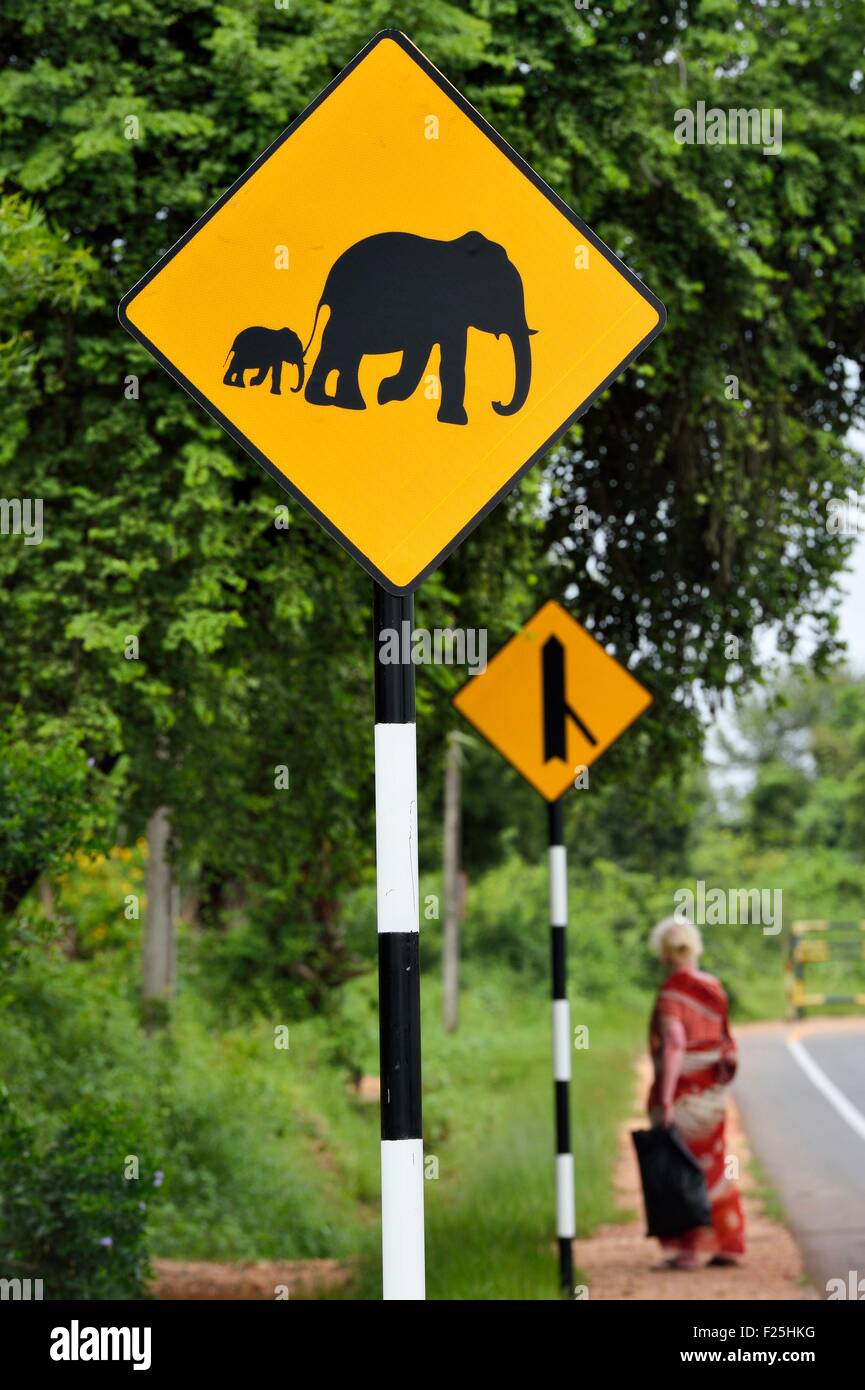 Sri Lanka, en la Provincia Oriental, Trincomalee, señal de carretera que indica la presencia de elefantes Foto de stock
