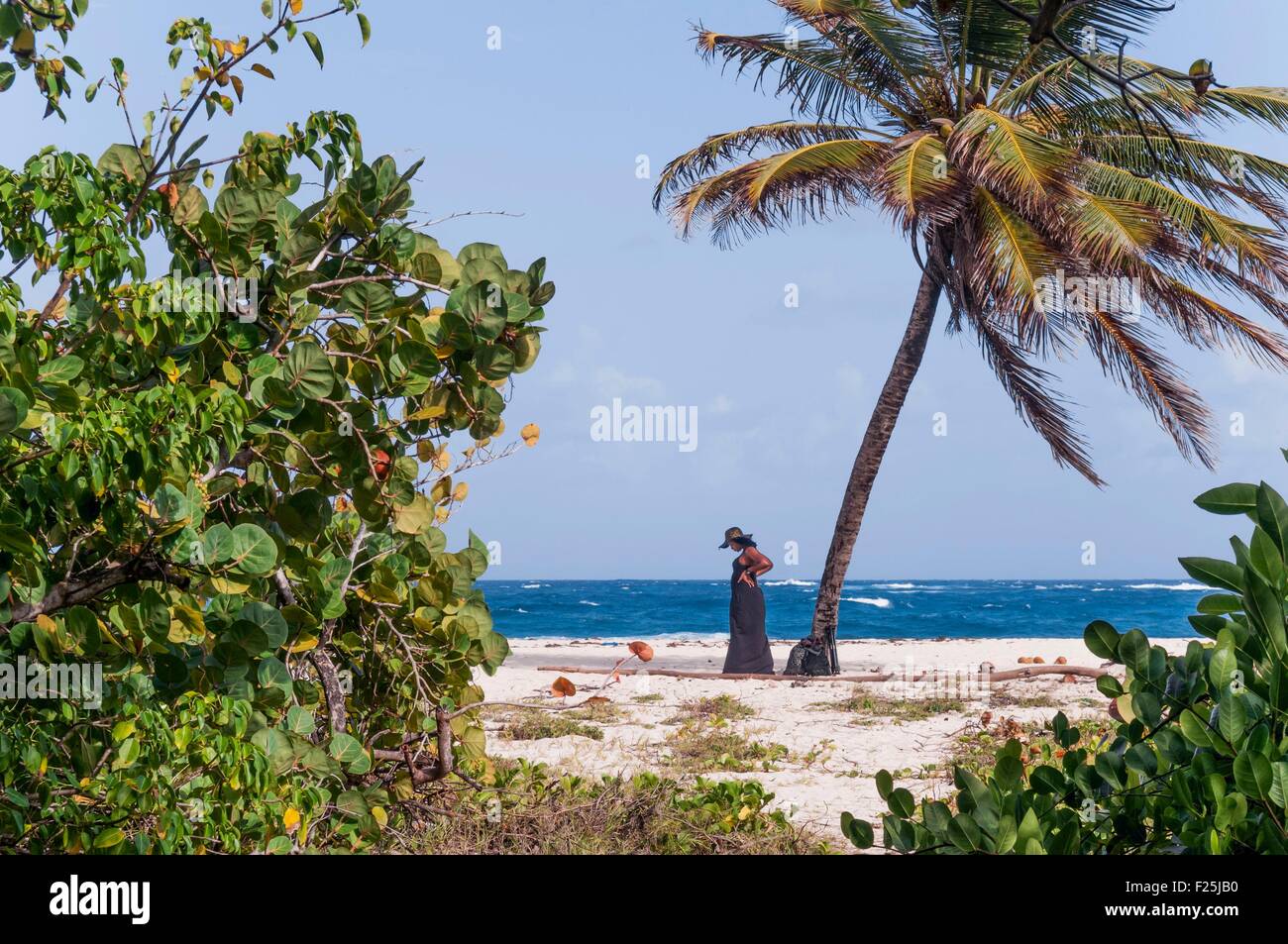 Isla de Barbados, sucio, área de la Bahía de Crane Beach, en la costa sur de la parroquia de San Felipe, superior classe trimestre Foto de stock