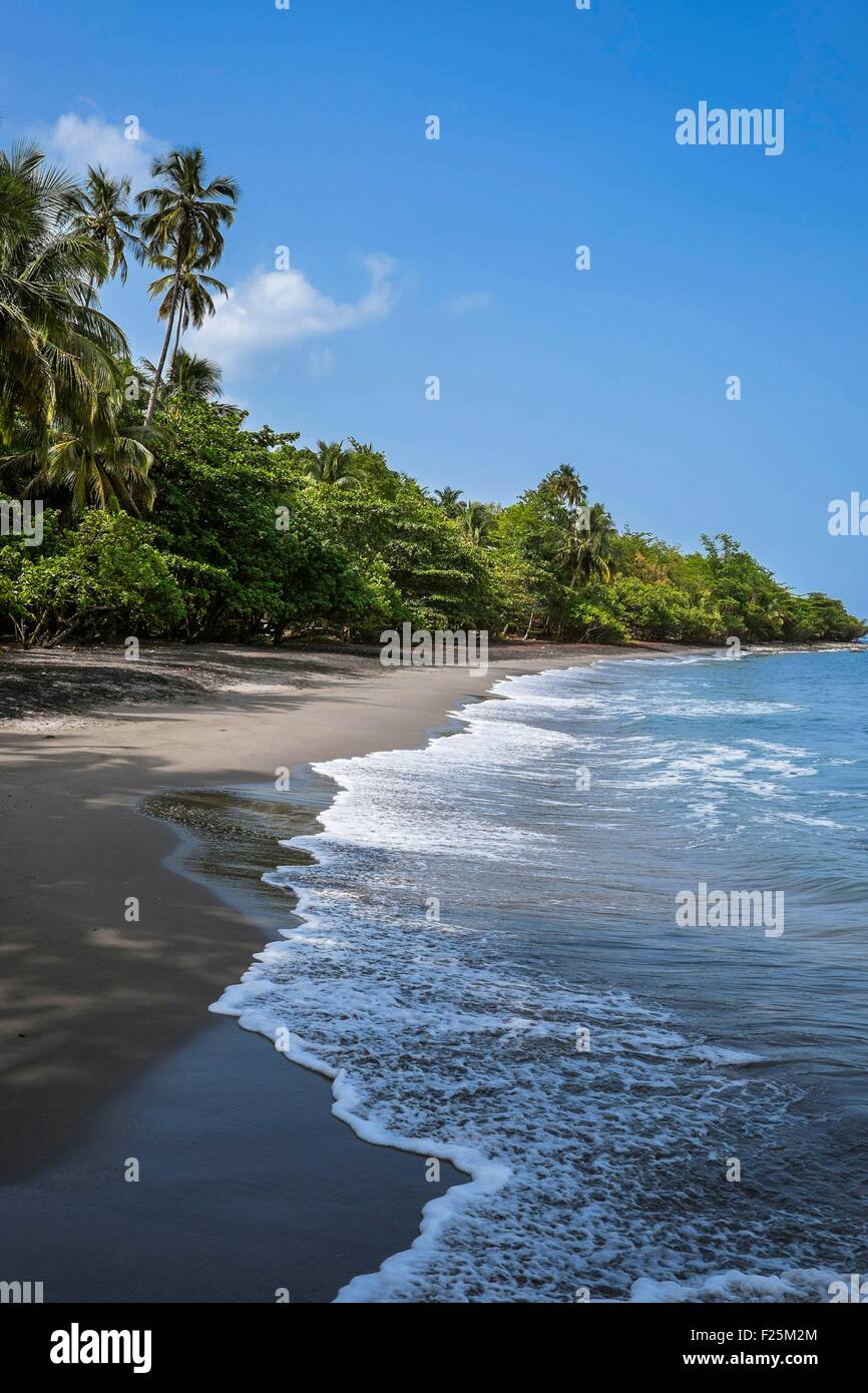 Francia, Martinica, Anse Ceron, la playa de arena negra Fotografía de stock  - Alamy