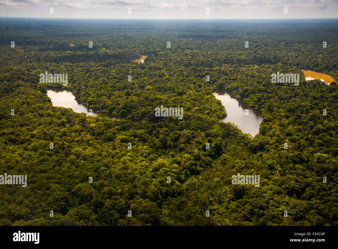 Antena de la selva, Río Yavari-Mirin Oxbow Lake y el bosque primario, región amazónica, Perú Foto de stock