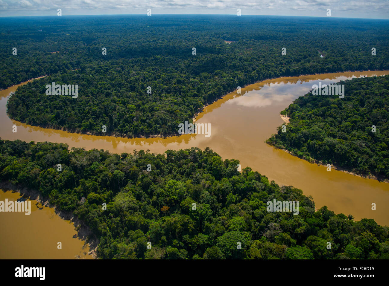 Antena de la selva, la Boca del Río Yavari-Mirin entrando en Río Yavari y bosques primarios, región amazónica, Perú Foto de stock